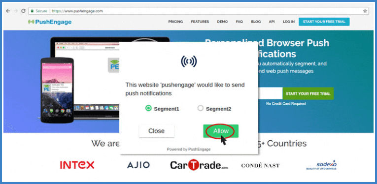 Large Safari Style Push Opt-in With Segment
