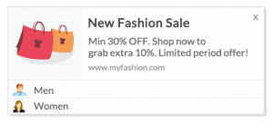 Segment Based Web Push Notifications