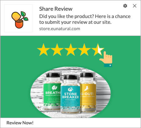 Push Notification to Submit Review