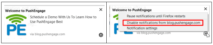 how to unsubscribe from web push notification firefox -windows10