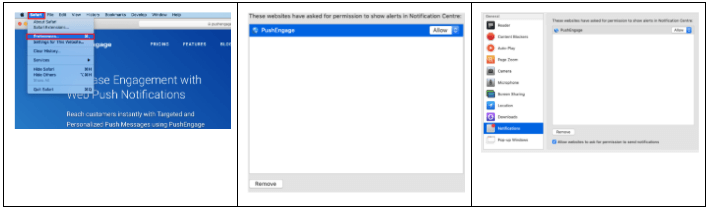 how to unsubscribe from web push notification safari-MacOS Device