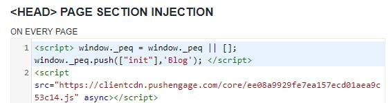 PushEngage code in Header Footer plugin