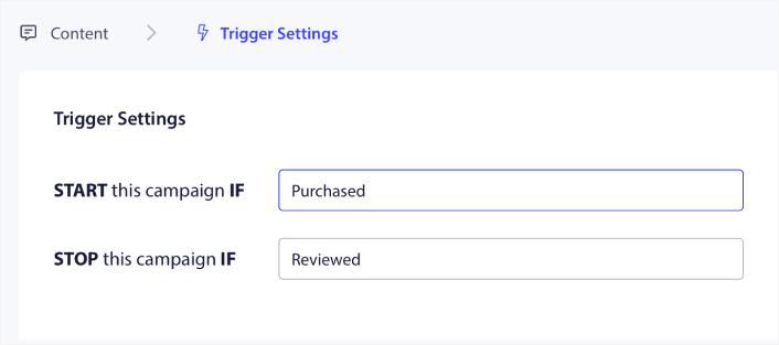 Review Campaign Trigger Settings