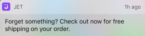Abandoned Cart Notification Example