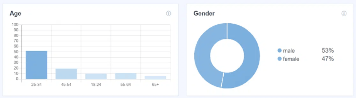 Demographics Data MonsterInsights Review