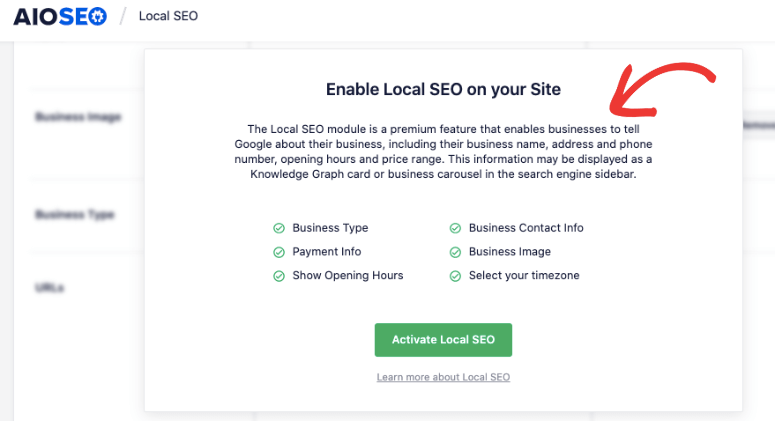 AIOSEO local SEO setup