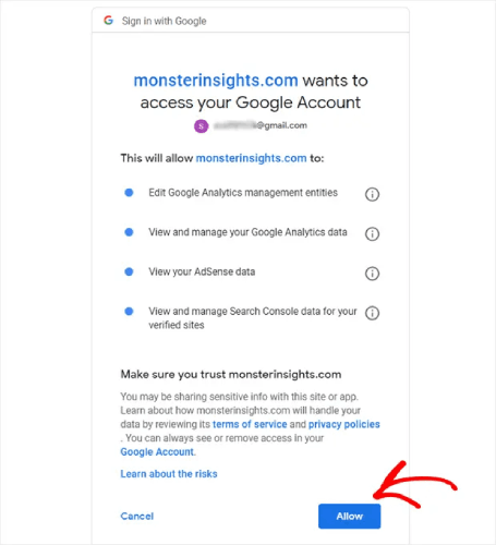 MonsterInsights Permissions