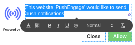 Changing Font Styles for Optin
