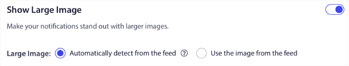 Select large image for RSS feed notifications
