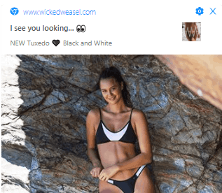 WickedWeasel sales