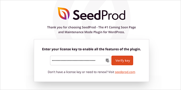 Enter SeedProd License Key