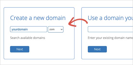 Choose domain name on Bluehost