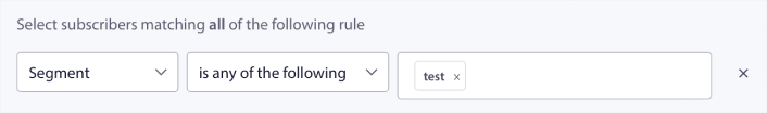 Select Segment for Audience Group