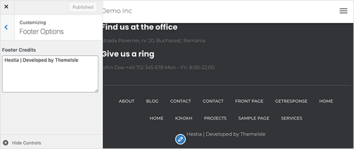 WordPress theme customizer footer options