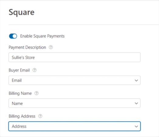 Square Payment Details