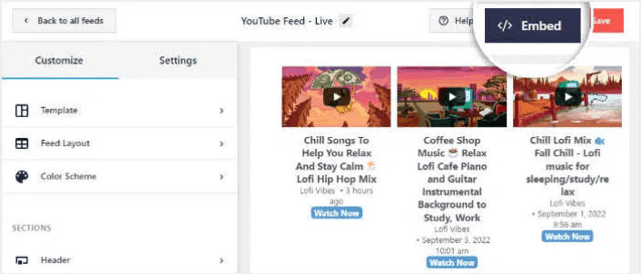 Embed YouTube Live Stream Feed