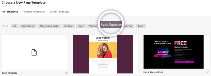 Lead Squeeze WordPress