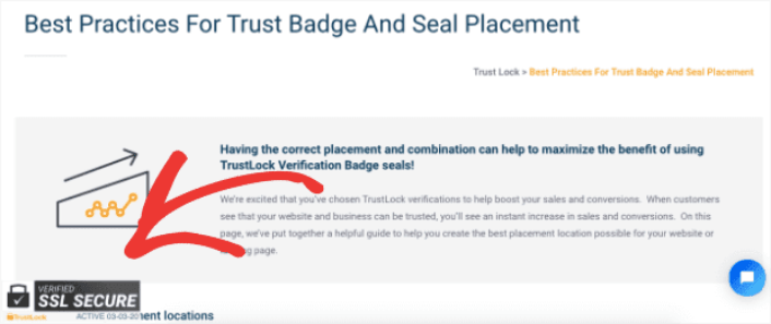 SSL Shopify Trust Badge