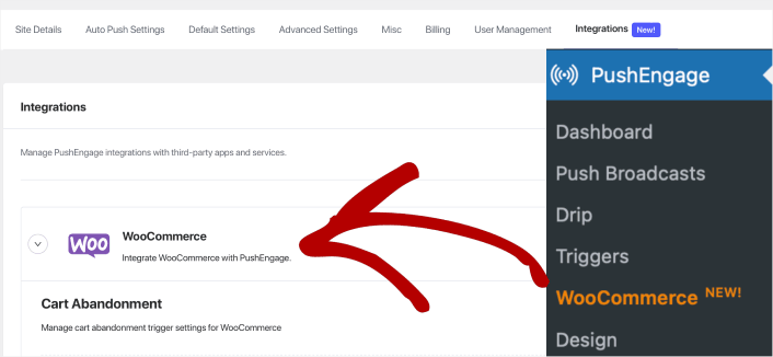 WooCommerce Cart Abandonment Recovery